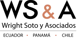 Logo de Wright Soto y Asociados